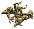 Lemon Verbena Leaves